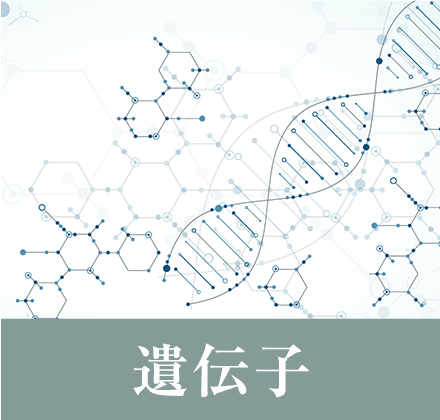 遺伝子